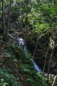 Sofia Boyana Waterfall (10) 